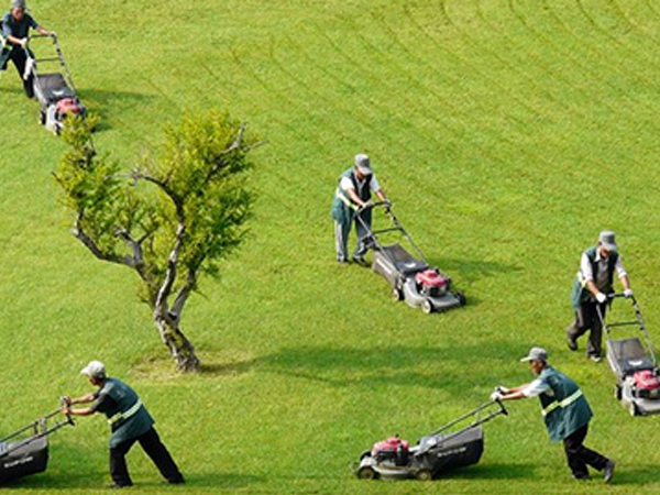 1月24日科技創(chuàng)新與先進(jìn)技術(shù)引進(jìn)座談會(huì)在鑫昌泰總部召開(kāi)