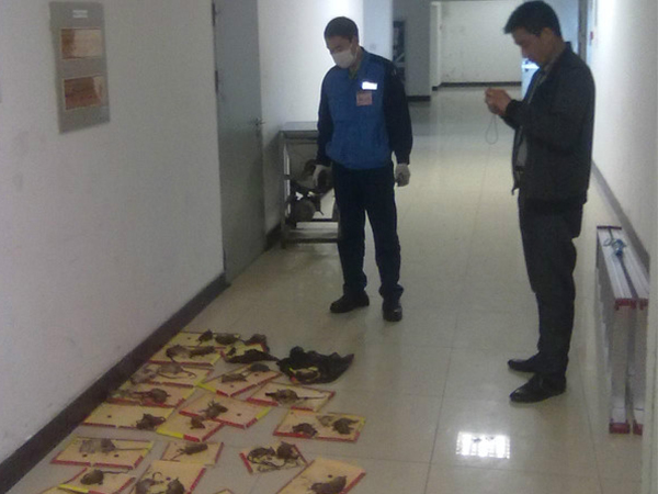 磁粉和超聲波探傷檢測(cè)